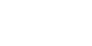 The Wisdom Seeker